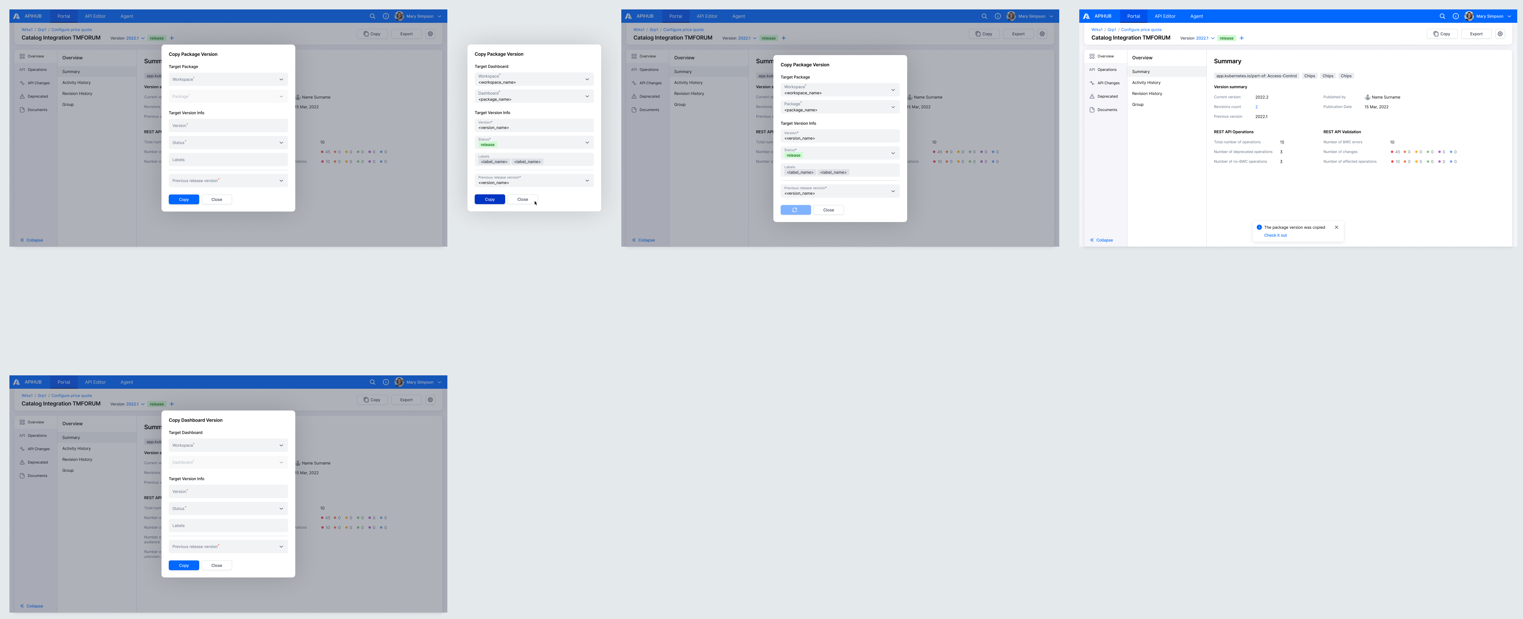 Copy Package Version